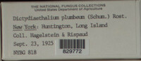 Image Associated With the Occurence